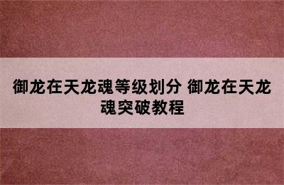 御龙在天龙魂等级划分 御龙在天龙魂突破教程